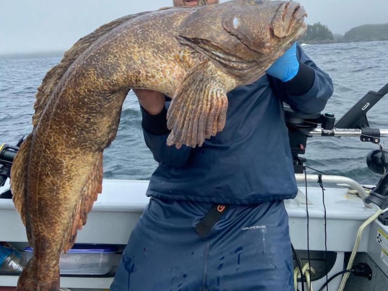a man holding a fish on a boat in the water